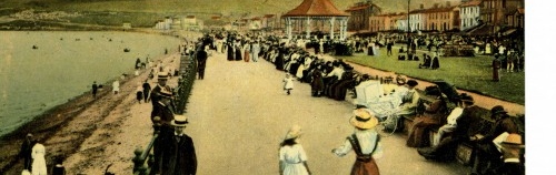 From  Bray With  Love