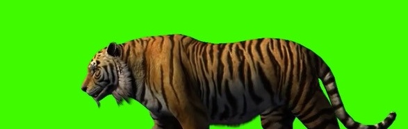 Gallery Liliane Newimage