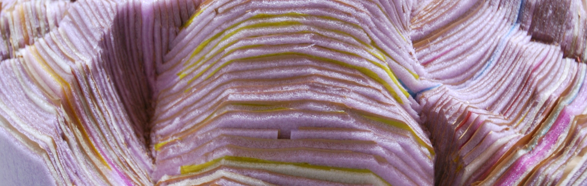 Image H Hughes Mermaid Brochure