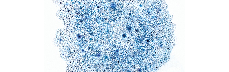 Visaul Art Joanna Kidney Ordered Complexities 3, 2013 2014,monotype On Paper, 46Cm X 46Cm Web