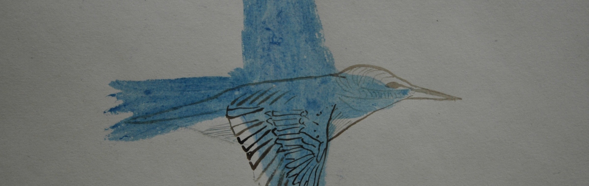 Kingfisher Detail
