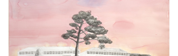 Visible Becoming Visible