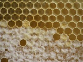 Hands Were in the Life Area