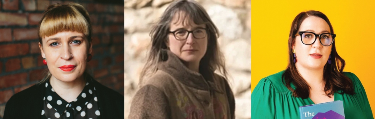 Literature Wicklow Town Banner