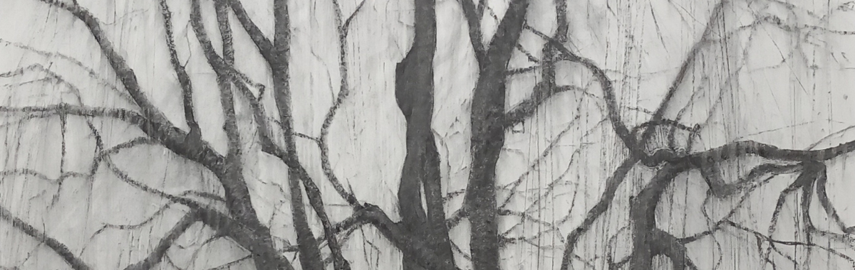 Secret life of trees banner image