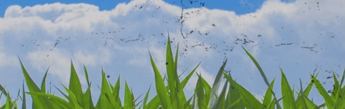 FARMER BACKGROUND Landscape Crop