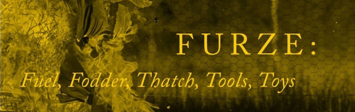 FURZE Launch Web Banner