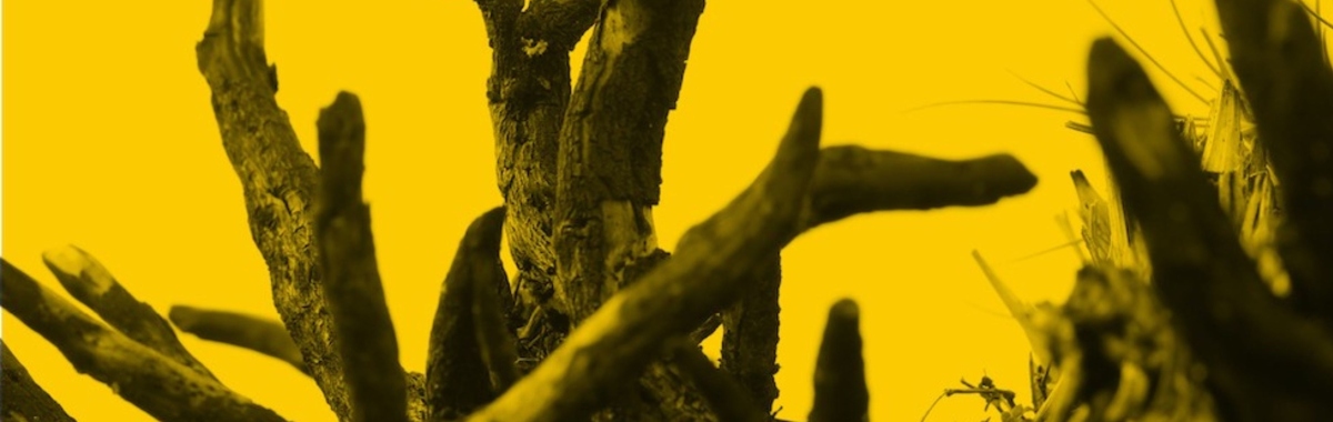 FURZE Shane Finan Web Banner 1750 x 600 px