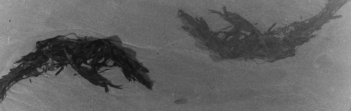 Image for Workshop 4