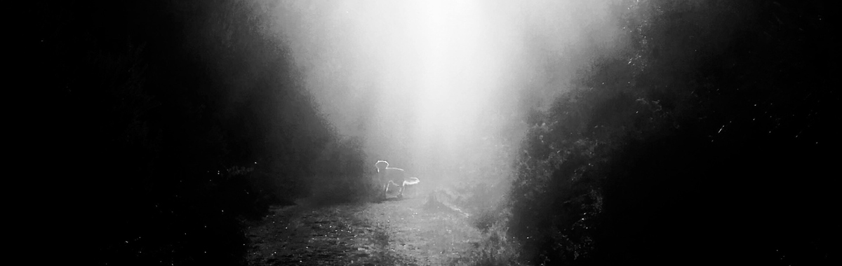 Riverscapes maia nunes