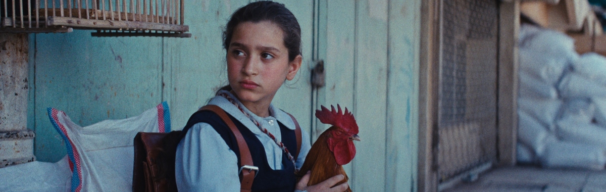 The Presidents Cake 2