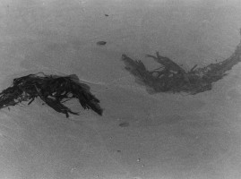 Image for Workshop 4