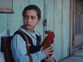 The Presidents Cake 2