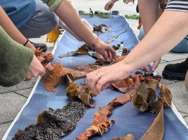 C6500461 4457 4 E2 F BEDE FCC099 D6 F72 D Samuel Arnold Keane