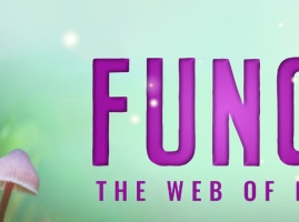 Fungi the web of life