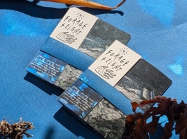 Forage + Light Zine Launch