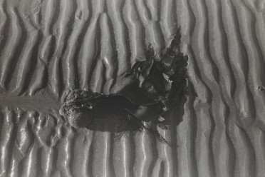 Image for Workshop 2