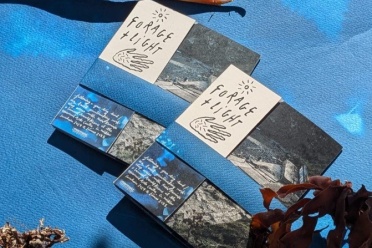 Screenshot 2026 04 15 151623