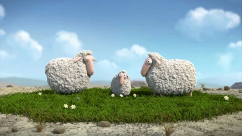 Access Cinema Shorts