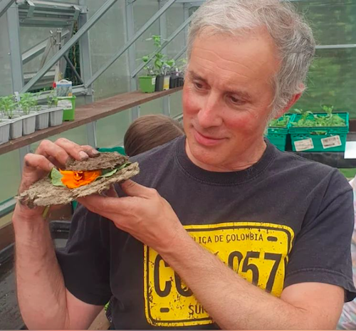 David Begley allotments