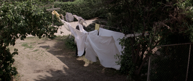 Halloween 1978 Film Stills 6