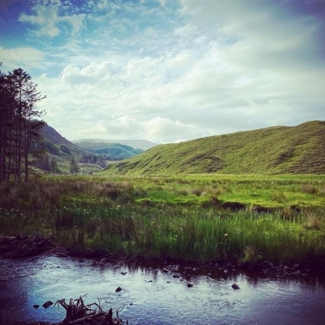 Uplands The Shaking Bog