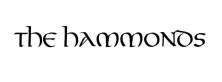 Whats App Image 2024 09 06 at 09 55 15 The Hammonds Music