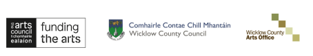 Wicklow Strategi Award Logos Anne Mullee 1