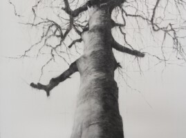 20240213 144244 Lelia Henry