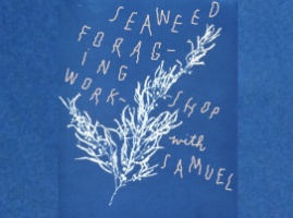 Seaweed Banner Workshop