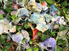 Garden as Gallery, Gallery as Garden