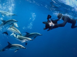 Stories from the Sea Ken O Sullivan NOTEXT